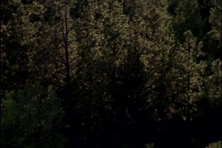 LOS ALAMOS, NEW MEXICO - CIRCA SEPTEMBER 1998: Camera zooms in over tree tops to the buildings on the Los Alamos National Laboratory campus.