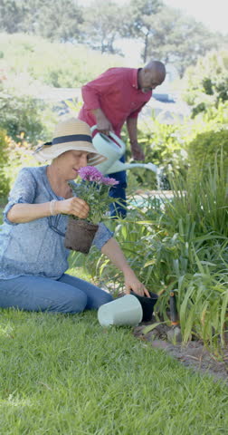Vertical video of happy senior diverse couple working in garden, slow motion. Domestic life, retirement, nature and lifestyle, unaltered.