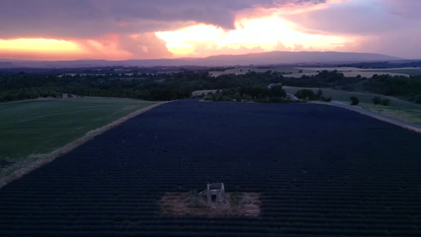 Lavender Fields in Provence France at Sunset Stone Hut Slow Drone Aerial Move Down Empty Field