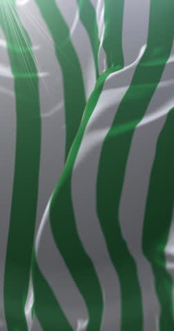 Meta Department Flag, Colombia. Loop. 4K Vertical