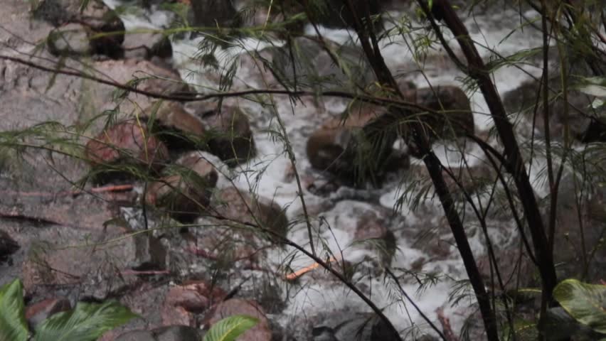 Slow blur-to-focus shot revealing a forest stream flowing over rocks. A serene and cinematic take perfect for documentaries, B-rolls, or nature storytelling. Wet jungle atmosphere.