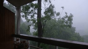 Raining over the trees and forest outside wooden terrace - Powered by Shutterstock - Get 15% off with code: PIKWIZARD15