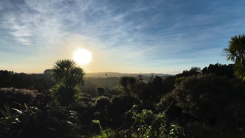 Sunrise view in East Tamaki, Auckland, New Zealand. Green hills and trees under blue sky.