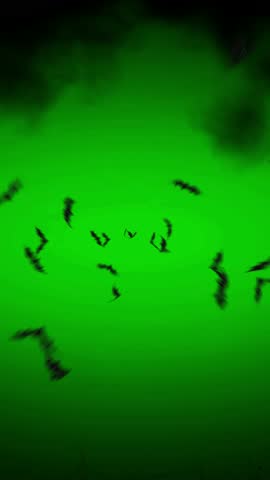 vertical video colony bat flying in green screen 4k for video editing 