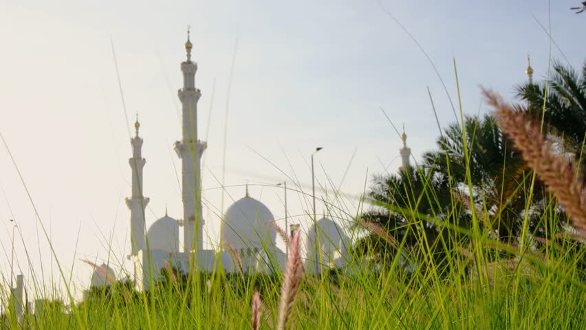 Sheikh Zayed Mosque in Abu Dhabi. Grand architecture, intricate marble details, serene atmosphere make it remarkable symbol of Islamic culture and spirituality in UAE. view from green grass in park