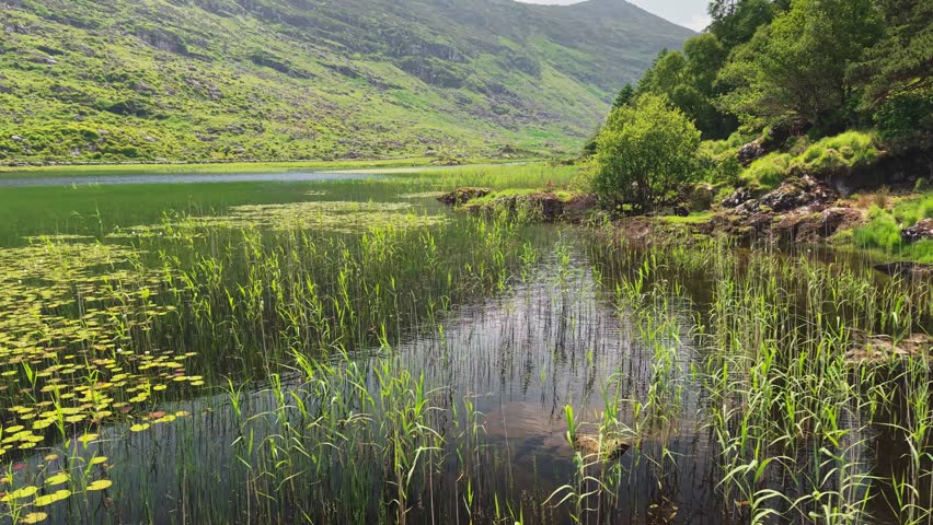 Nature of Ring of Kerry, Ireland, County Kerry. Aerial shot of lake in Killarney National Park. Lush landscapes and serene waters of Killarney National Park in Ireland during sunny afternoon