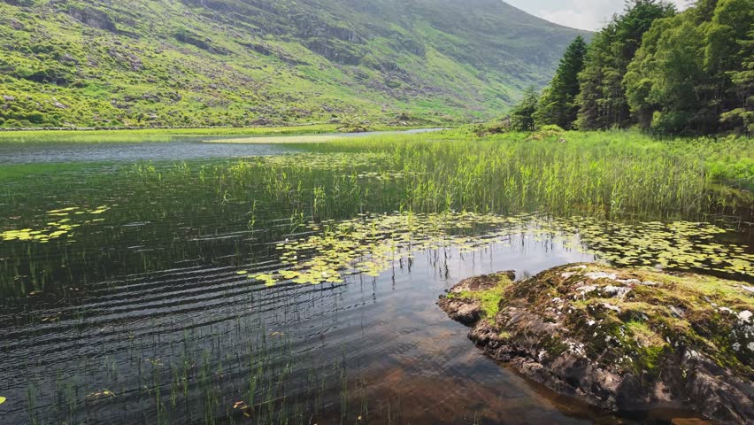 Nature of Ring of Kerry, Ireland, County Kerry. Aerial shot of lake in Killarney National Park. Lush landscapes and serene waters of Killarney National Park in Ireland during sunny afternoon