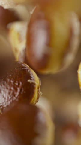 Animation of a group of donuts. Many donuts slowly rotate in the background in space. Vertical composition. Defocus. Close-up.