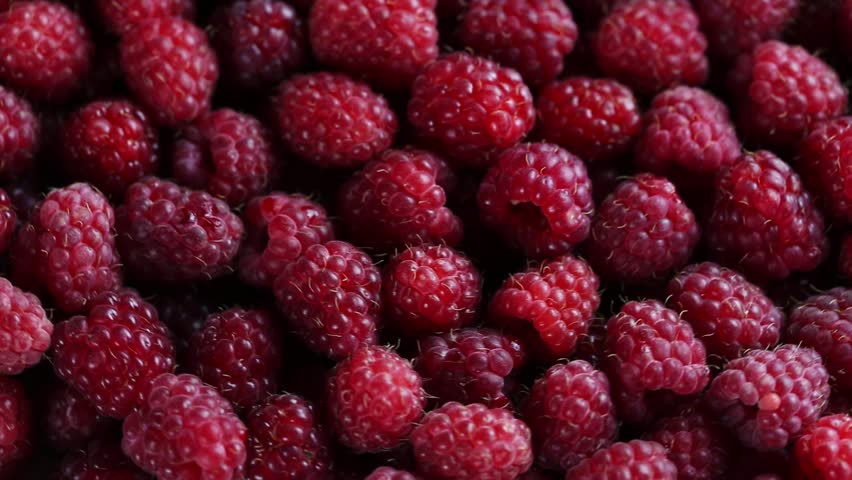 Ripe raspberry. Rotating closeup berries