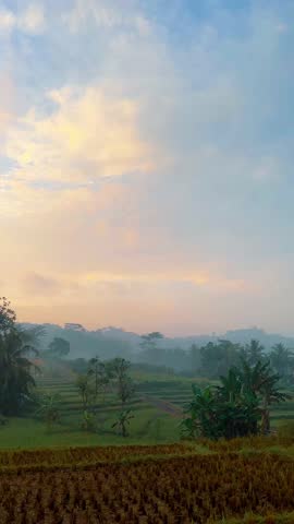 Tropical rural landscape with layered rice fields, palm trees, and light morning fog. Captured at sunrise with a semi-clear sky, creating a peaceful and natural countryside atmosphere.