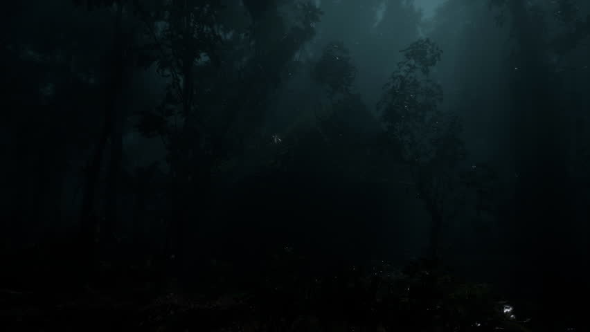 Small Night Rain And Village House In The Forest, Loop Video