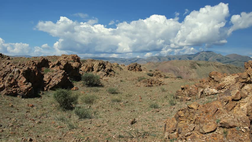 Video of rocky semi-desert with bushes of Caragana pygmaea in the Kosh-Agach Valley in Altai.
