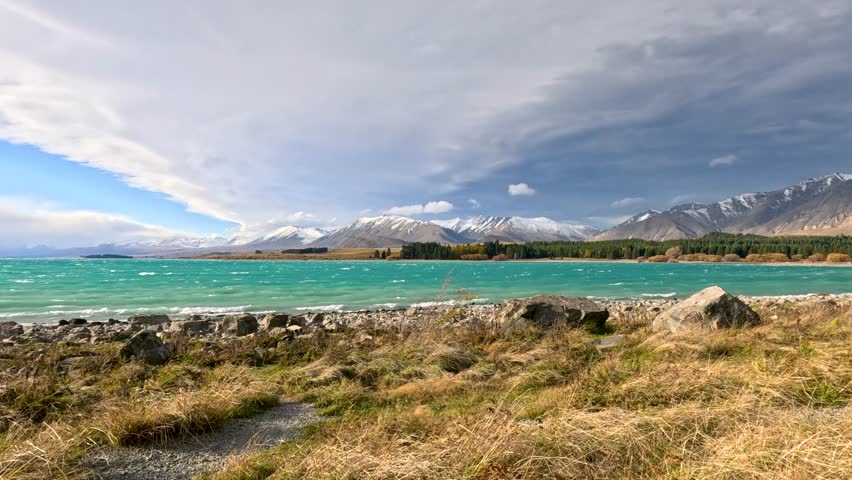 Turbulent turquoise waters and windswept grasses along Lake Tekapoâs rocky shore, with dramatic storm clouds and snow-capped mountains in the background. Static wide shot