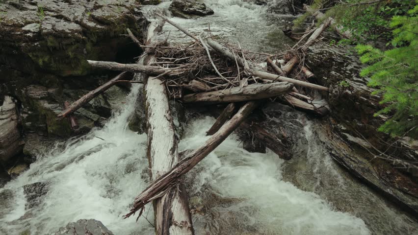 View of logs at top of waterfall in Montana