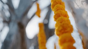 Close-up of marigold garlands and white feathers hanging in sunlight. Perfect for cultural events, festivals, wedding decor, spirituality, and traditional ceremonies. - Powered by Shutterstock - Get 15% off with code: PIKWIZARD15