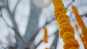 Close-up of marigold garlands and white feathers hanging in sunlight. Perfect for cultural events, festivals, wedding decor, spirituality, and traditional ceremonies. - Powered by Shutterstock - Get 15% off with code: PIKWIZARD15
