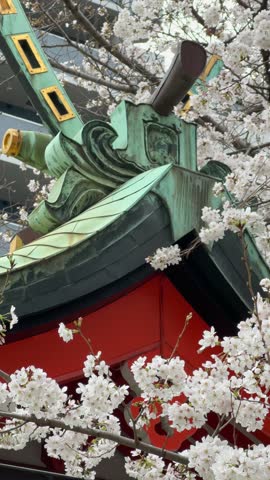 Cherry blossoms in full bloom frame a vibrant red and green temple roof. A stunning springtime scene in Japan, showcasing the delicate beauty of nature against traditional architecture.