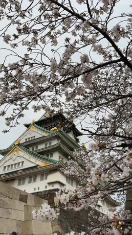 Osaka Castle in Japan, viewed through a vibrant foreground of delicate cherry blossoms in full bloom. The castle