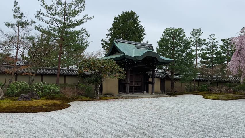 Serene Japanese garden scene featuring a traditional gate, weeping cherry blossom tree, and meticulously raked gravel. Tranquil atmosphere of Ryoan-ji Temple, Kyoto, Japan.