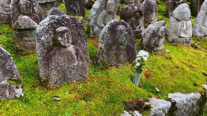 Numerous weathered stone Jizo statues, covered in moss, populate a Japanese hillside. These serene figures are a common sight in Japanese cemeteries and temples, offering spiritual protection.