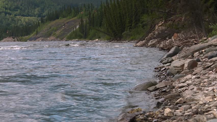 Water Flowing In The Nenana River Along The Rocky Shore In Denali National Park In Alaska. - wide shot