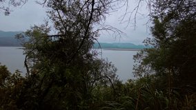 Misty forest trail with stone steps near Tominé reservoir, peaceful and lush mood - Powered by Shutterstock - Get 15% off with code: PIKWIZARD15