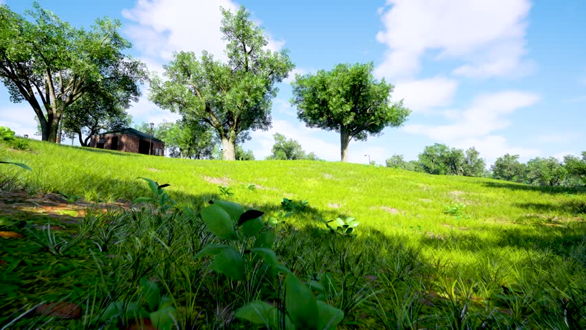 Realistic Render Landscape With Trees and Blue Sky