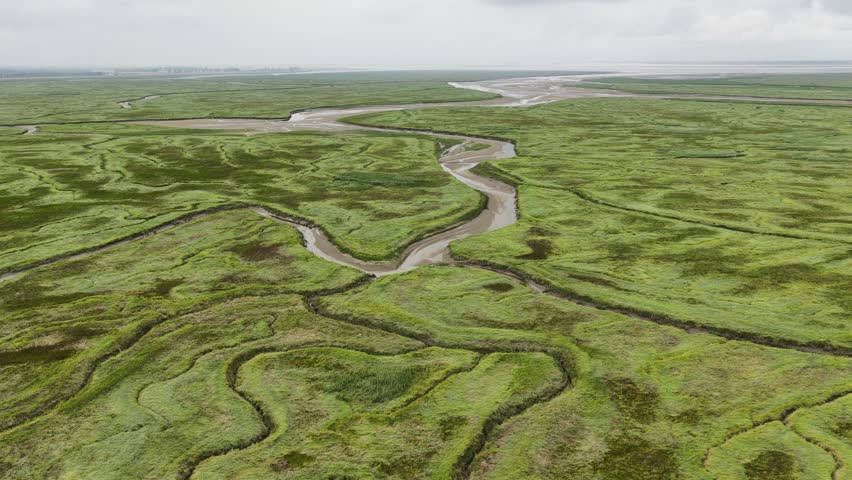 Drowned Land of Saeftinghe, nature reserve along the Schelde, Vast salt marshes, gullies and mudflats: this is the primeval landscape of Zeeland. Aerial view.