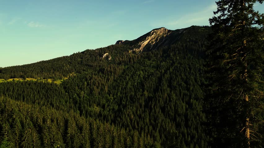 Aerial view of lush green forest blanketing a mountain range under a clear sky, where shadows and light play across the landscape, Achenkirch, Tyrol, Austria.