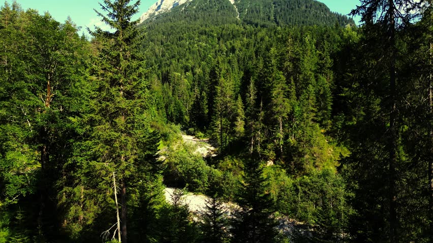 Aerial view of a majestic, snow-capped mountain rising above a dense green forest under a clear blue sky, Achenkirch, Tyrol, Austria.