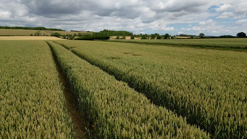 Aerial view of agricultural farmland in the North Yorkshire countryside near Malton in the northeast of England.