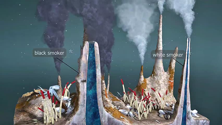 3D animation showing deep sea hydrothermal vents ecosystem with unique organisms and vents.