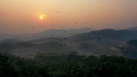 Mysterious crows flying in a foggy twilight sky, creating a haunting and cinematic atmosphere. - Powered by Shutterstock - Get 15% off with code: PIKWIZARD15