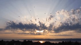 A dramatic scene of crows swirling in the sky at golden hour, soaring above the ocean near a peaceful village. - Powered by Shutterstock - Get 15% off with code: PIKWIZARD15