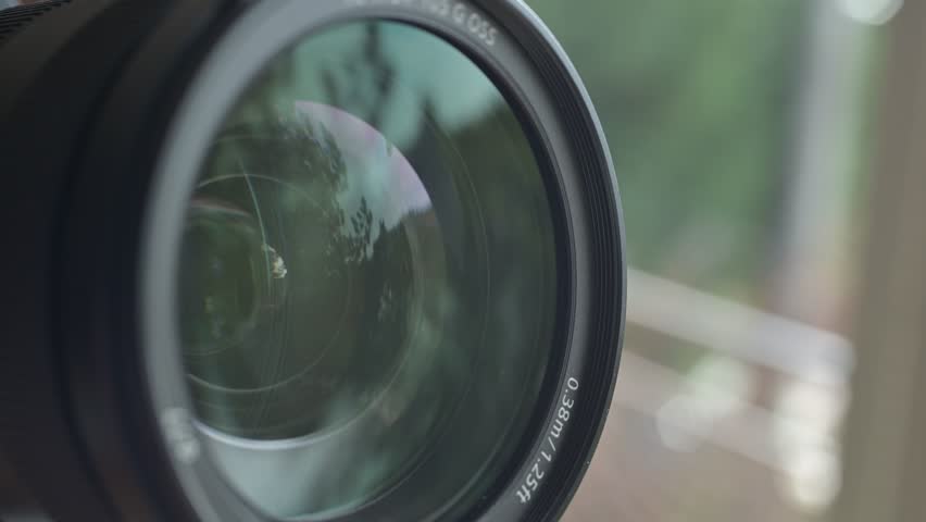 Shutterstock Video