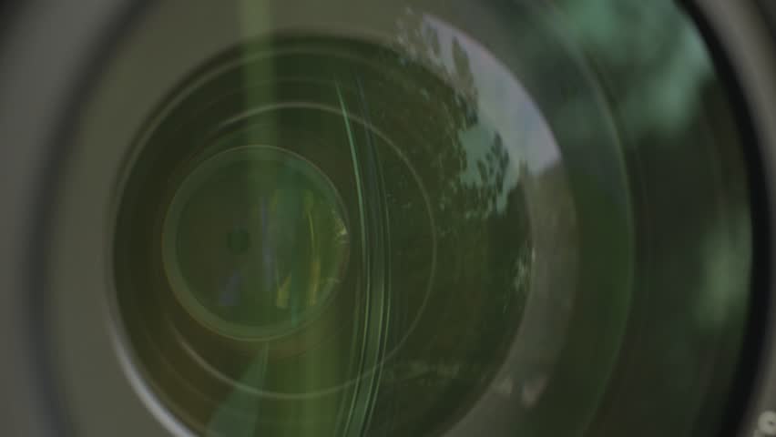 Shutterstock Video
