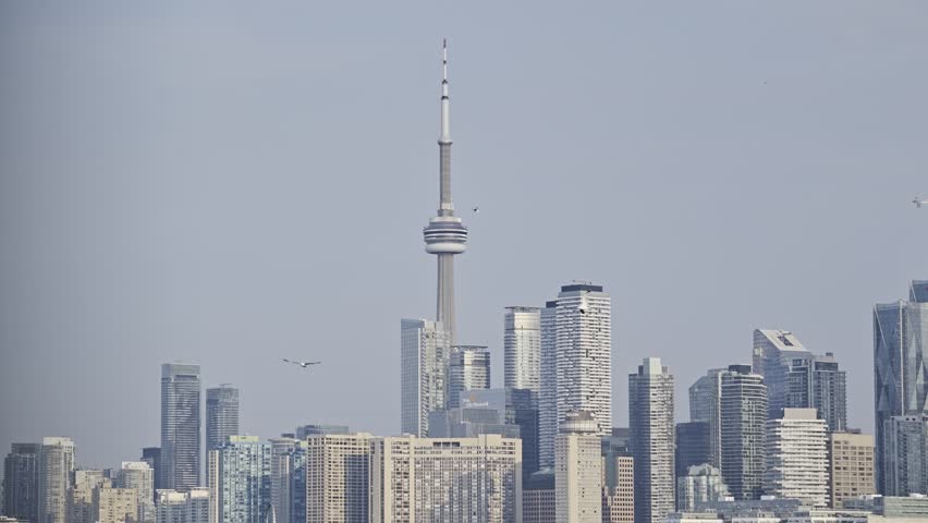 CN Tower Toronto Canada. Beautiful view of downtown Toronto from the lake