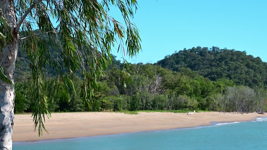Looking from Yorkeys Knob toward Earl Hill, this scenic view in North Queensland, Australia, features a striking paperbark tree in the foreground with open sky space perfect for a title overlay.