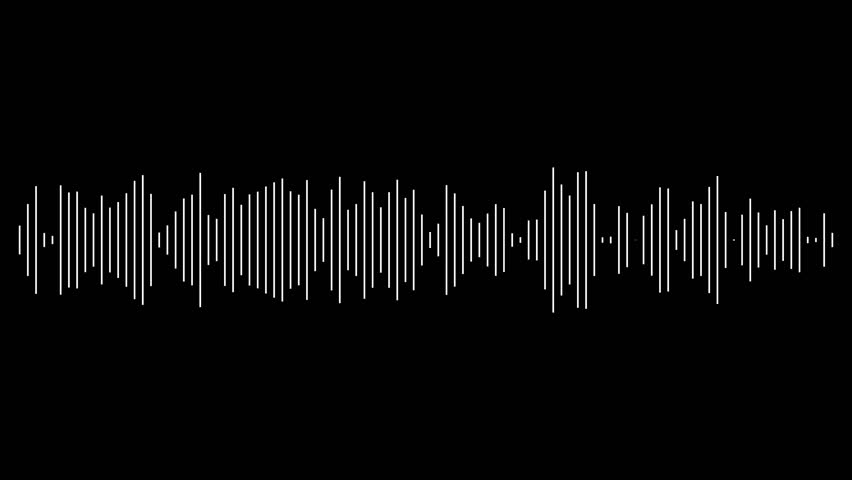 Shutterstock Video