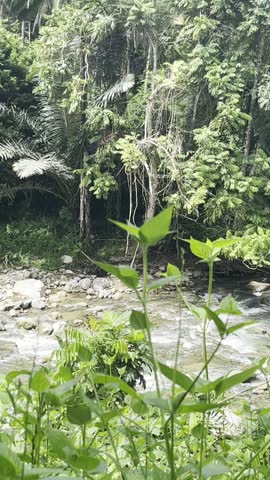 The sound of water flowing from the mountain