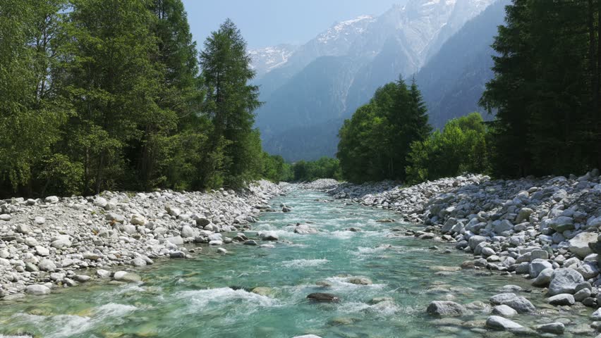 Clear river running through lush forest and rocky banks in the picturesque Swiss Alps