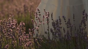 Lavender Fields Woman: Girl stands in sunset amidst lavender bloom, enjoying beauty, peaceful scene. - Powered by Shutterstock - Get 15% off with code: PIKWIZARD15