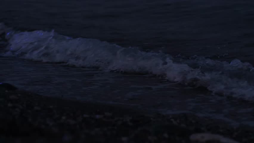 Soft waves roll onto the sandy beach as nightfall approaches, creating a tranquil coastal ambiance filled with sounds of nature.