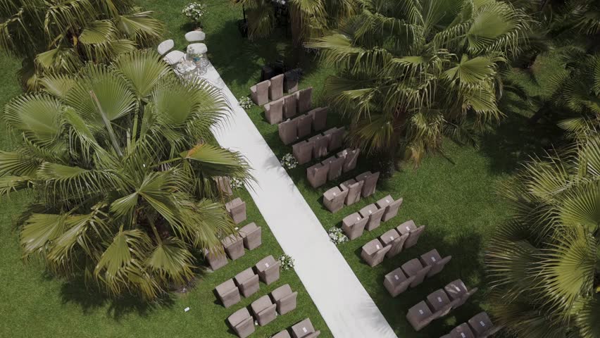 elegant wedding chairs line white aisle under palm trees in sunny garden