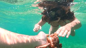 Curious Snorkelers Gently Interact with Wild Octopus - Powered by Shutterstock - Get 15% off with code: PIKWIZARD15
