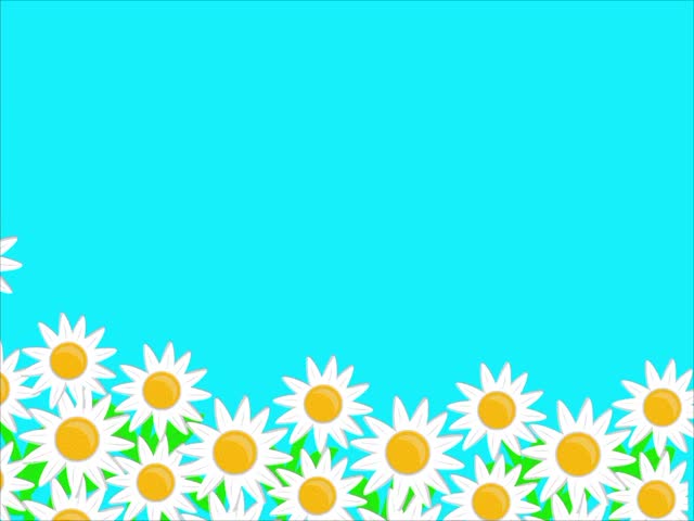 Cute Animated Greeting with Daisies