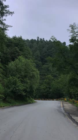 Front road view in motion from a forested mountain in Pakistan, where tree-covered hills stretch over the road creating a scenic and peaceful driving atmosphere.