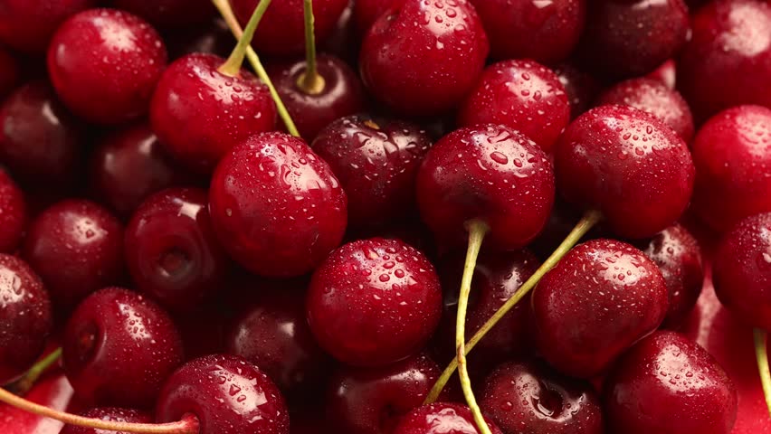 Many ripe cherries with water drops, spinning