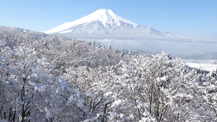 Mount Fuji Snowy Forest – Morning Sunlight Melts Snow on Trees (Loopable Footage, 60p)