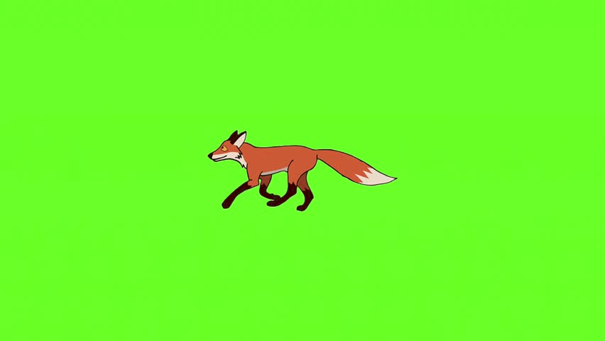 Animated fox in cartoon style. Ideal for children